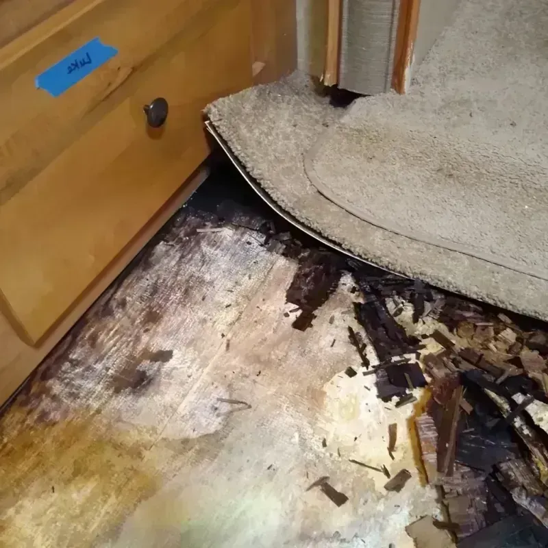 Wood Floor Water Damage in Colma, CA